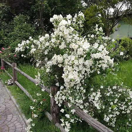 Casa Adele B&B 토릴레