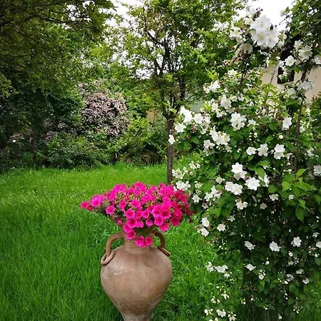 Casa Adele B&B 토릴레