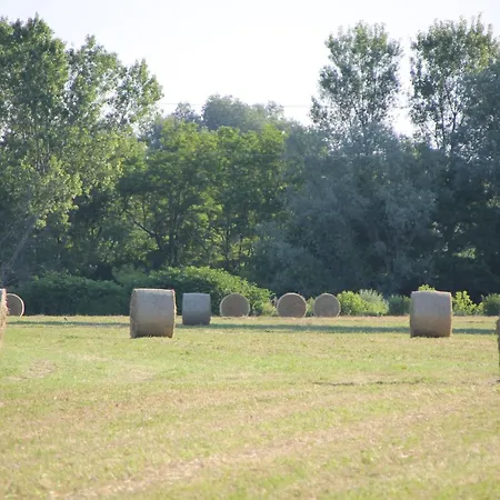 Casa Adele B&B 토릴레