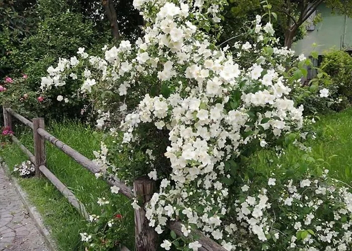 Casa Adele Bed & Breakfast Torrile