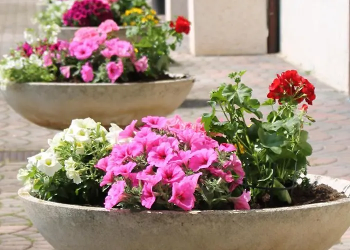 Bed & Breakfast Casa Adele 3*