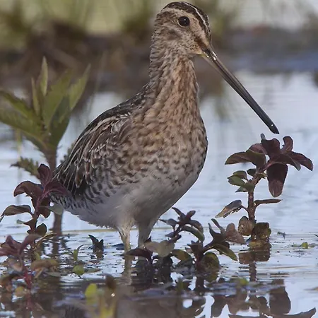 Casa Adele Отель типа 