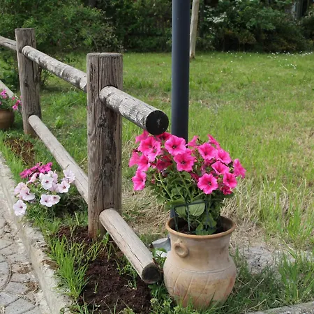 Casa Adele Oda ve Kahvaltı Torrile