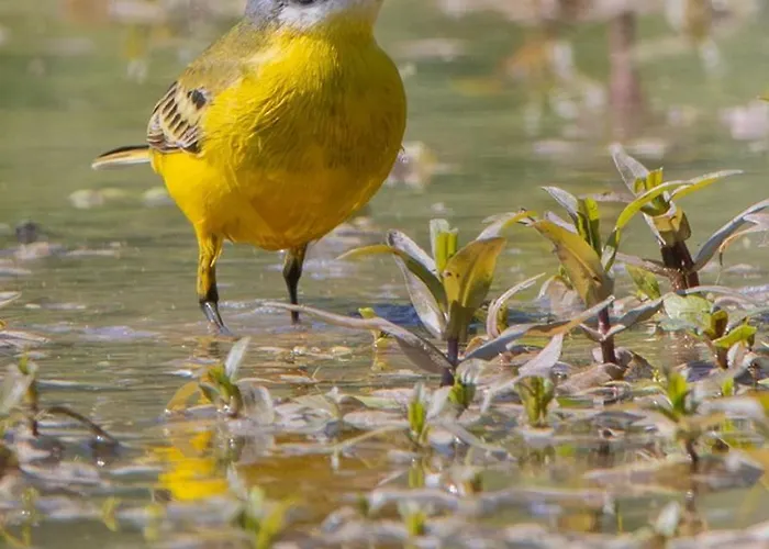 Frühstückspension Casa Adele