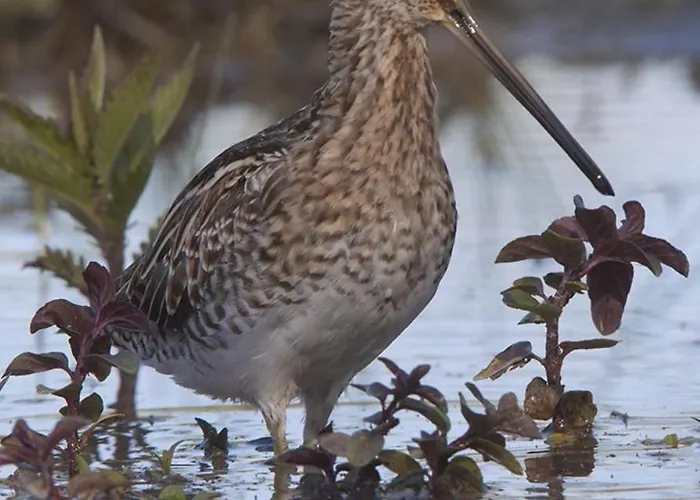 Casa Adele Frühstückspension 3*