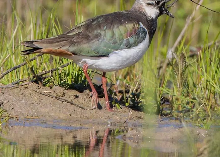 Casa Adele Frühstückspension Torrile