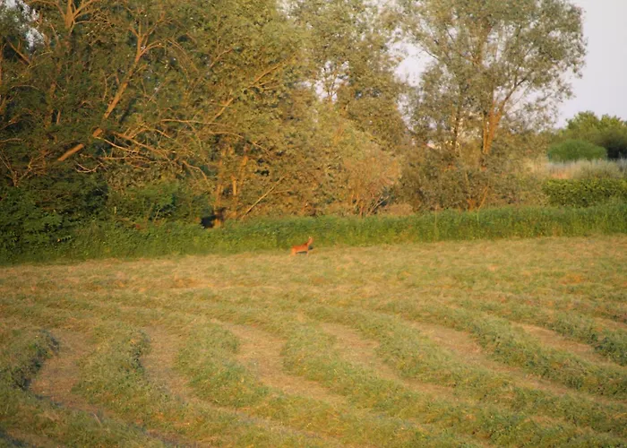 Frühstückspension Casa Adele 3*