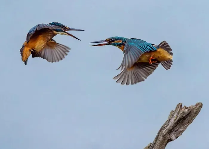 Casa Adele Frühstückspension