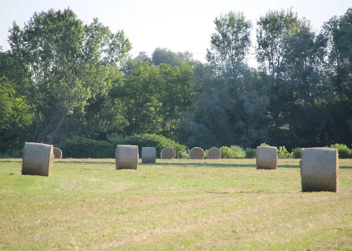 Casa Adele Bed & Breakfast Torrile