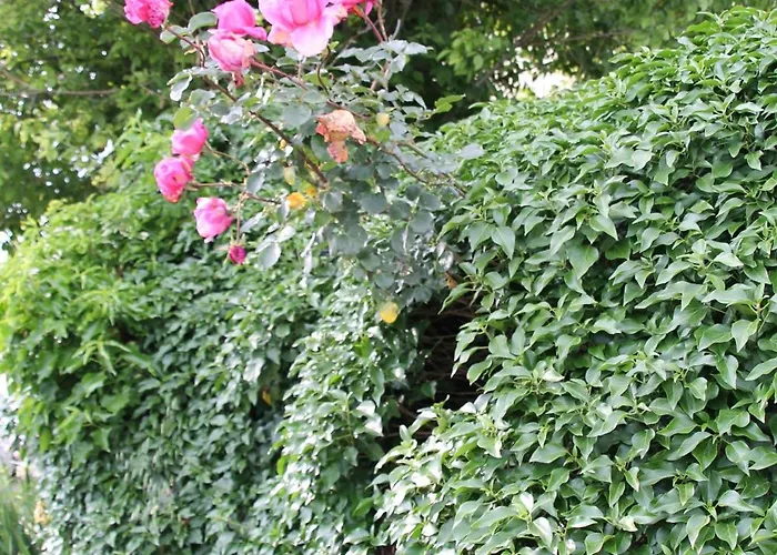 Casa Adele 3* Torrile